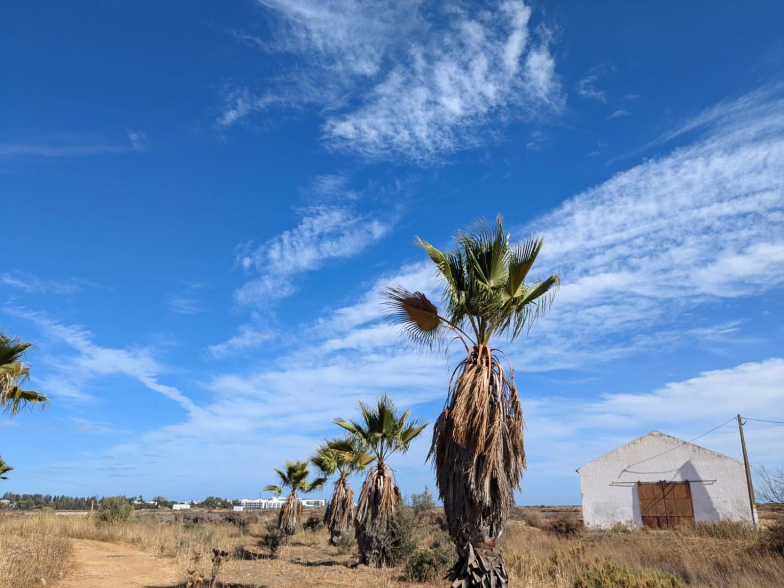 Paradise In Cabanas De Tavira Kültér fotó